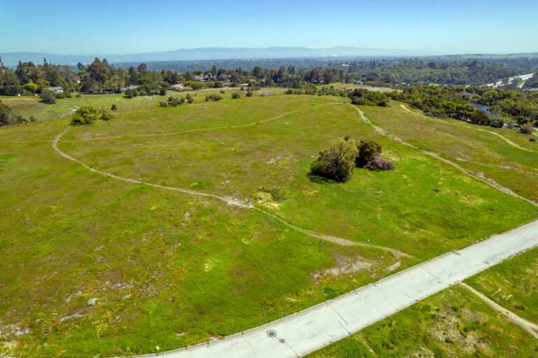 Aerial (11)