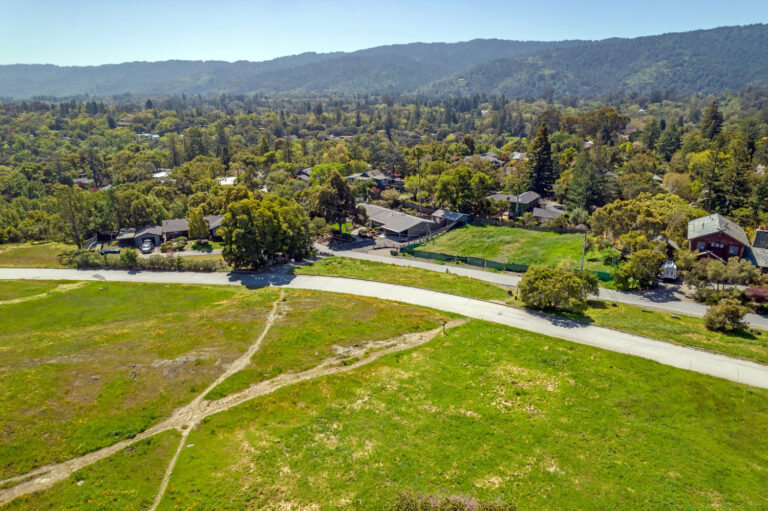 Aerial (12)